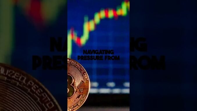 El Salvador's $137 Million Bitcoin Surge: Navigating Gains and Constraints