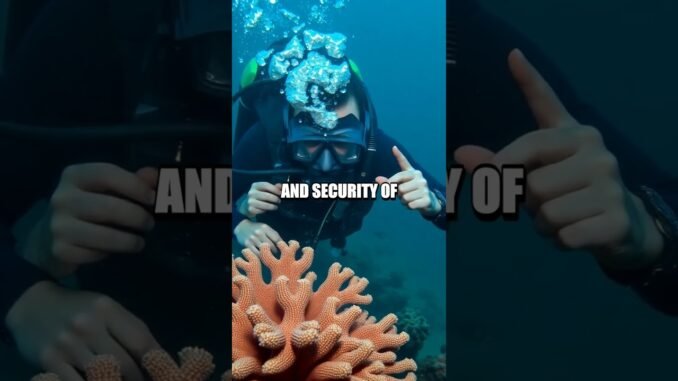 Embracing DeFi Safely: Key Security Tips for Crypto Beginners