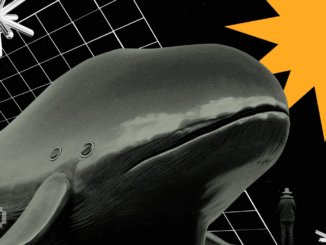 Ethereum Whales Remain Divided – What Lies Ahead for ETH Investors?