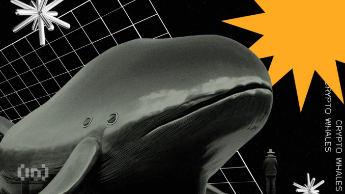Ethereum (ETH) Whales Clash: Buy or Sell Signal? Ethereum Whales Remain Divided – What Lies Ahead for ETH Investors?
