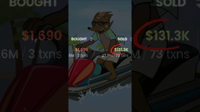 Flips $1000 into $131k | 100 X Strategy to buy Memecoins| Dex Screener Filters |#crypto #memecoins