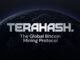 How a Game Turned Into the Largest Bitcoin Mining Protocol, Powered by 8 Million Users — The Story of TeraHash