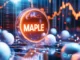 Here’s why Maple Finance’s SYRUP token is surging