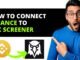 How To Connect Binance To Dex Screener