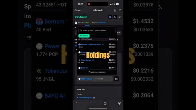 How to See a Meme Coin’s Holder Wallet