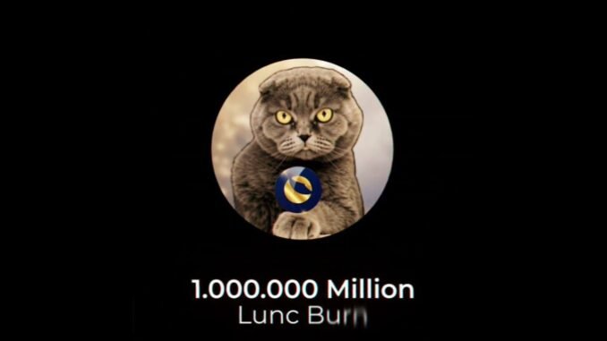 LUNIX BURN ANNOUNCEMENT 1.000.000 LUNC Burn 🔥 #lunc #ustc #lunccommunity #web3 #LUNCPUMPFUN