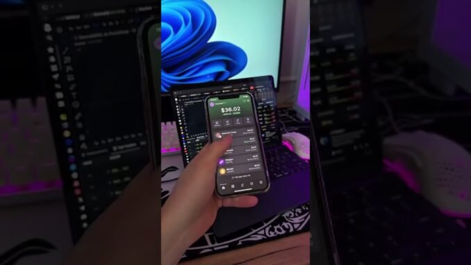 Meme Coin Investing for Beginners: Your Guide to the Wild Ride