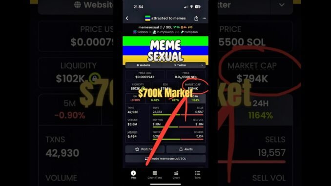 Memesexual Coin Launch #memesexual #solanamemecoins #dexscreener #memecoins