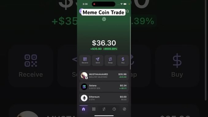 My First Meme Coin Trade Be Like... 💀📉