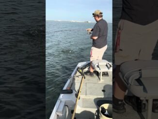 NEVER SELL THE G3!!! got a few ride along guides next week!  tyonthefly.com