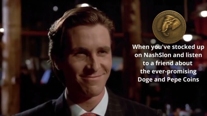 NashSlon on Dex screener