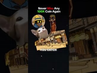 Normie guide to male money with memecoins 👇📕