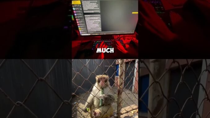 Now I will pass all the exams😍 😍 😍   #AI #UAE #dubai #abudhabi #freeai #superapp #viral #fun #new