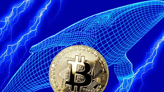 Satoshi Era Bitcoin Whales Move More Than $300 Million in BTC