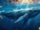 Satoshi-era Bitcoin whale wallets tied to Silk Road move $324 million after 12 years