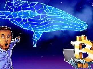 Spot Bitcoin ETF inflows fall, but BTC whale activity points to bull market acceleration