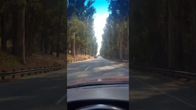 TOKEN2049 Web3 Wallet Adoption driving on 101/ 1 PCH  North to Silicon Valley #stablecoin  #memecoin