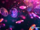 VanEck launches ‘NODE’ ETF targeting blockchain stocks and crypto-linked assets