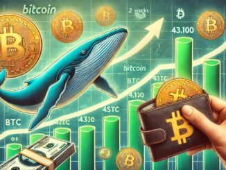 Whales Accumulate 43,100 Bitcoin In Two Weeks – Major Move Incoming?