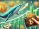 Whales Accumulate 43,100 Bitcoin In Two Weeks – Major Move Incoming?