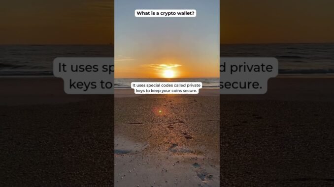 What is a Crypto Wallet?  Like & Follow! More tips: patreon.com/cryptoease #defi #crypto101 #shorts