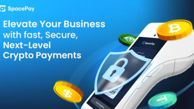 Why 0.5% Fees and Instant Settlements Add Up to $1M spacepay