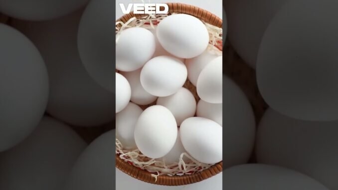 "Why Smart Chicken Farming is the Future | AI Farming for Beginners"