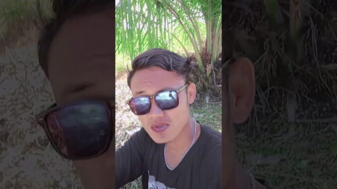 btcusd today #trading #trending #fyp #viralvideo #crypto #news #shorts