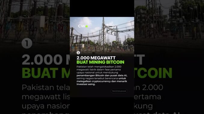 #cryptowave #cryptocurrency #cryptonews #cryptotrading #pakistan #news