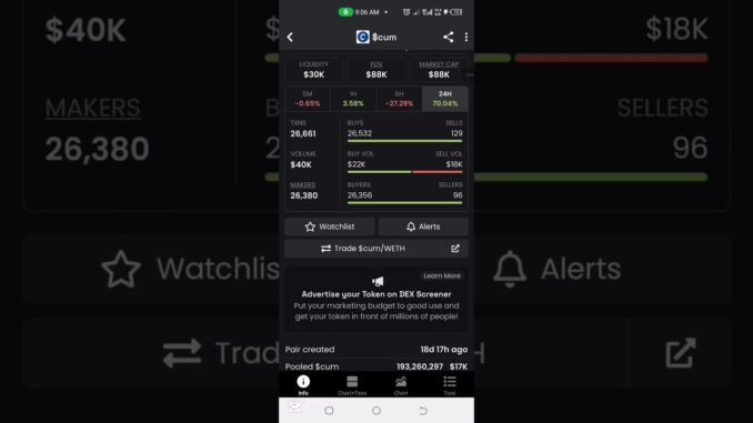 how to spot rug pull meme coin on dexscreener