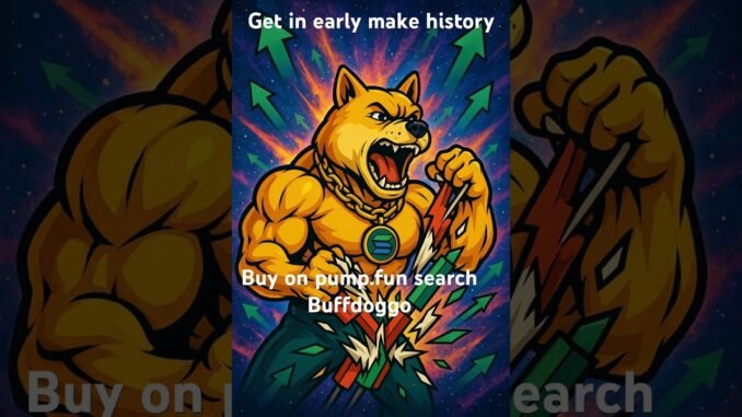 #pumpfunsniperbot   #pumpfun #memecoin #shibainu