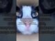 Заходи на страницу @ai.guide (инстаграм) и получай сертификат на бесплатную коуч-сессию 🎁