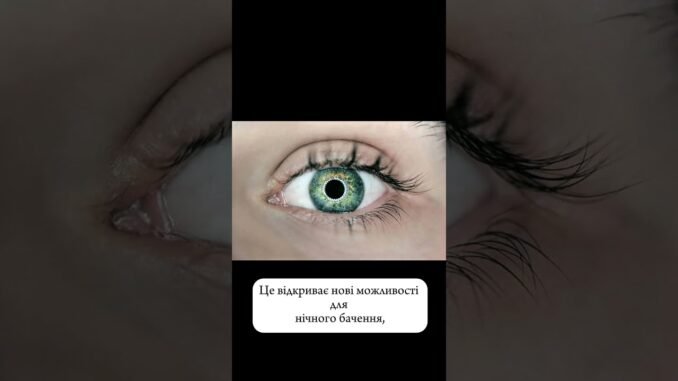 Контактні лінзи #ai #robot #новини #newsai #ainews #tech #новиниші #технології #прорив