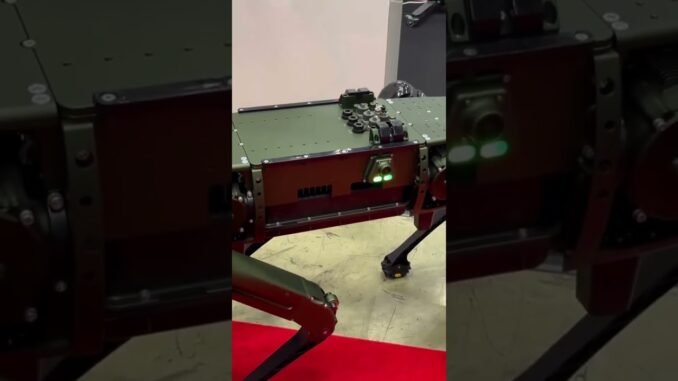 家庭用次世代ペット#news #robot #ai