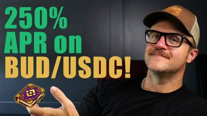 250% APR on BUD-USDC in Pancake Swap