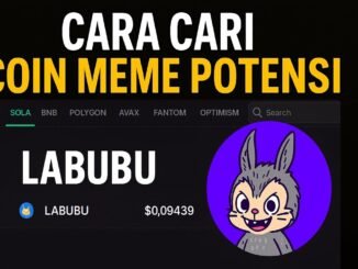 2.Cara cari coin early di pumpfun