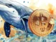 bitcoin-whale