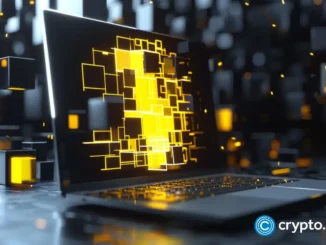 BNB maintains exchange dominance; Lightchain AI gains influence among serious crypto buyers