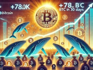Bitcoin Accumulation Continues Despite ATH: Whales Add 78K BTC In 30 Days