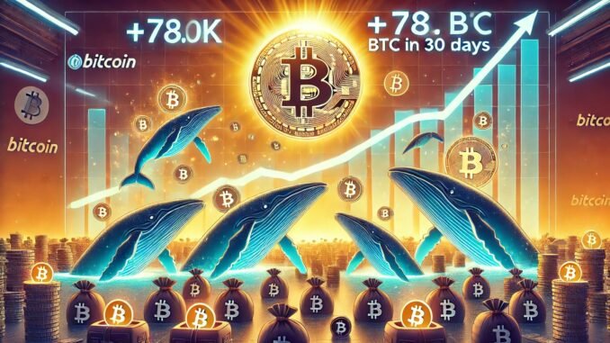Bitcoin Accumulation Continues Despite ATH: Whales Add 78K BTC In 30 Days