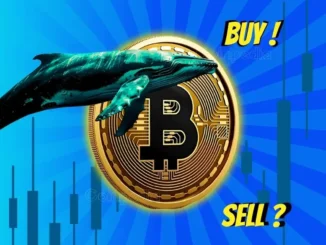 Whales Selling, Retail Buying Is Bitcoin Price at $109k on Crossroads