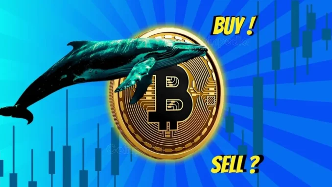 Bitcoin Price Rebounds Above $108k on Heightened Institutional Demand: Is Whales Selling, Retail Buying Is Bitcoin Price at $109k on Crossroads