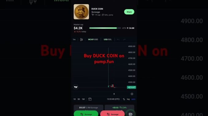 Buy DUCK COIN on pump.fun to be rich like Scrooge