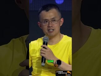 CZ's Crypto Advice: Newcomers' Guide to Success