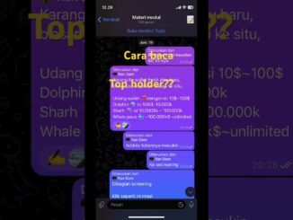 Cara baca top holder #memecoin #crypto #dexscreener #tutorial