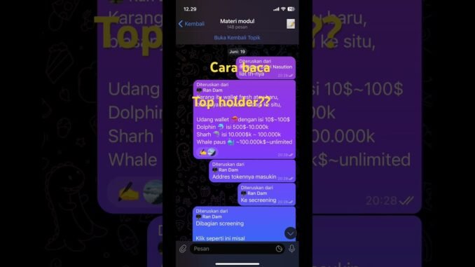 Cara baca top holder #memecoin #crypto #dexscreener #tutorial