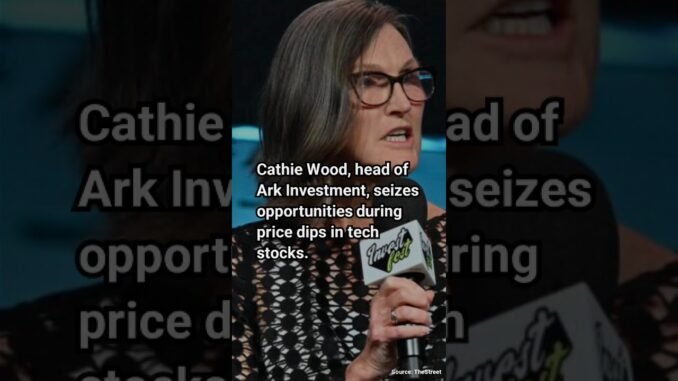 Cathie Wood Invests $13.9 Million in AI Stock. #shortsfeed #shots #news #unitedstates #indi