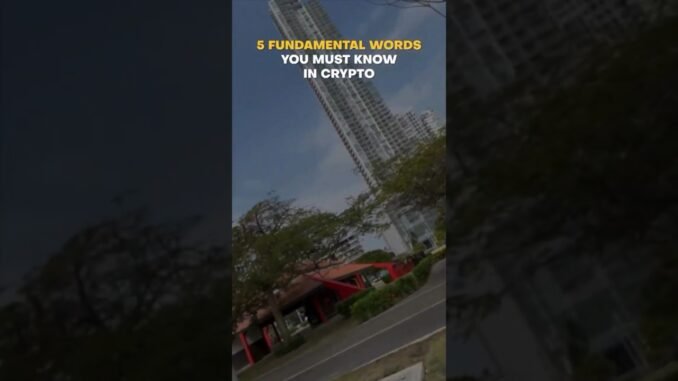 Crypto for Beginners: 5 Things I Wish I Knew Sooner