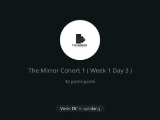 Day 3 – The Mirror Cohort 1 Training: "Understanding Wallets – Custodial vs Non-Custodial"