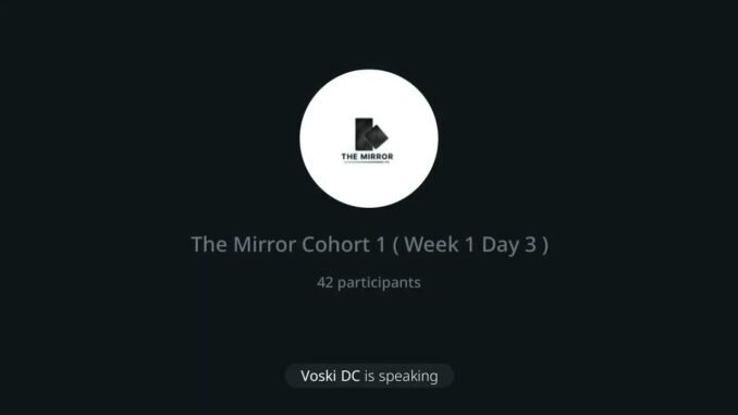 Day 3 – The Mirror Cohort 1 Training: "Understanding Wallets – Custodial vs Non-Custodial"